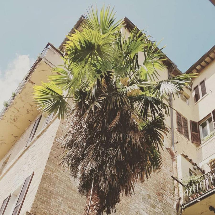 Break And Bed Bed & Breakfast Perugia Dış mekan fotoğraf